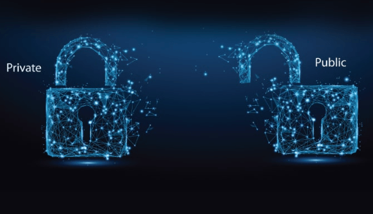 The Difference Between Public and Private Blockchains
